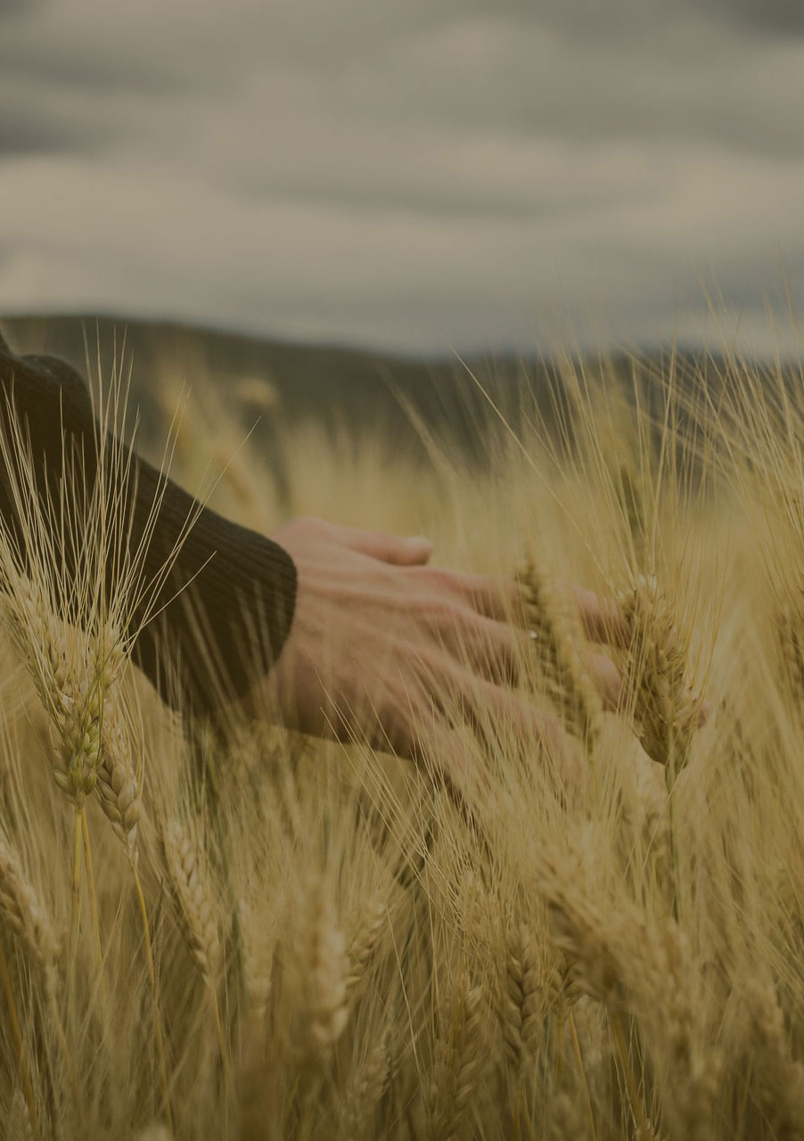 Programas Formativos Mertxe Eiguren 