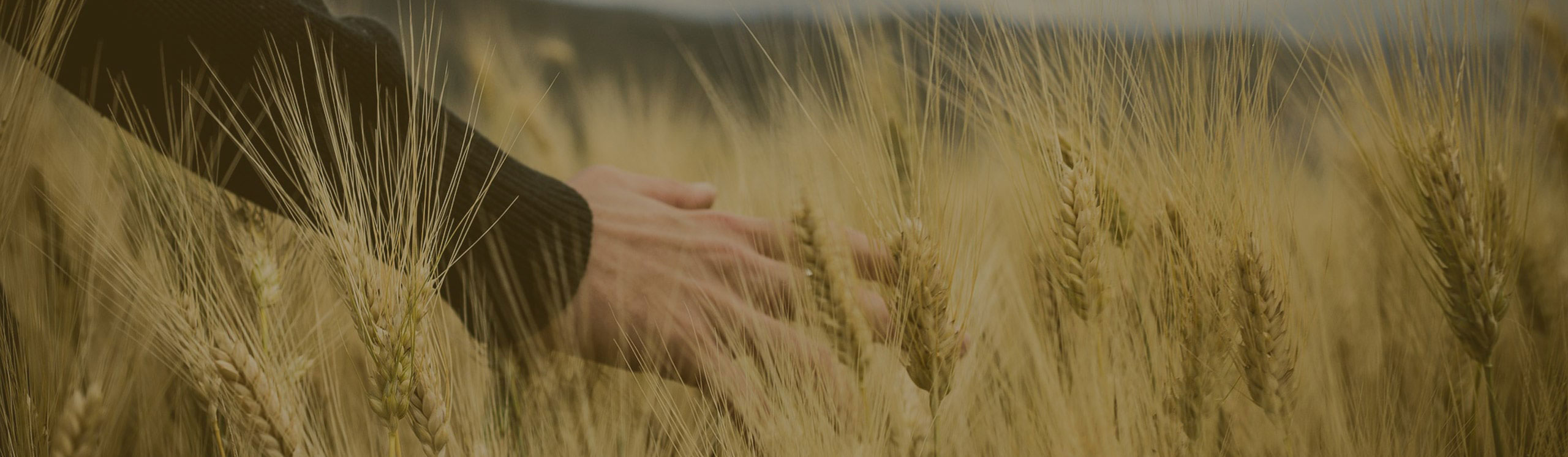 Programas Formativos Mertxe Eiguren