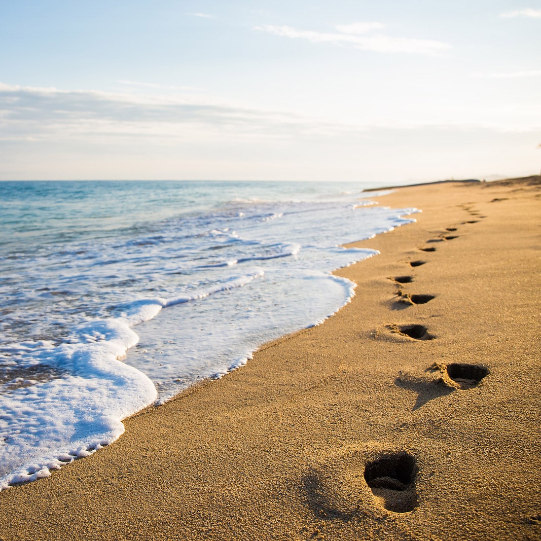 Mindfulness para Organizaciones Bilbao Vitoria